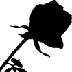 Point de croix monochrome fleurs/rose1