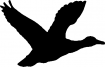 Point de croix monochrome oiseaux/canard3