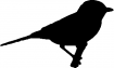 Point de croix monochrome oiseaux/mesange1