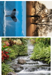 Planche d'impression de 3 images
