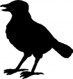 Motif à tricoter oiseaux/oiseau2