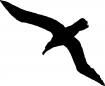 Point de croix monochrome oiseaux/albatros1