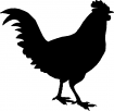 Coq