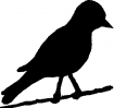Point de croix monochrome oiseaux/oiseau3