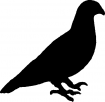 Point de croix monochrome oiseaux/oiseau6