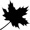 Feuille N° 7