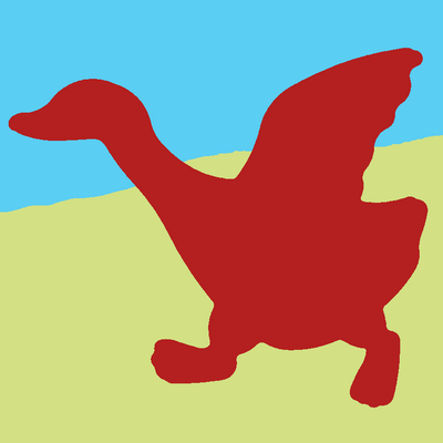 canard