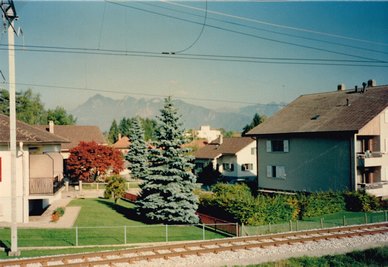 355-1195.jpg