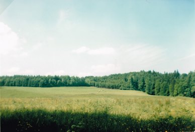 111-0286.jpg