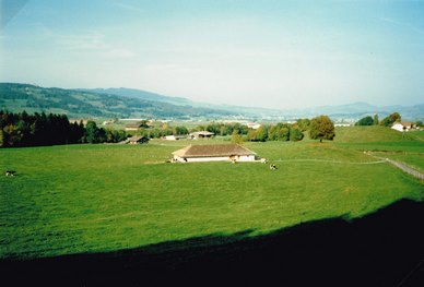 012-0867.jpg