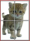Four-cut image