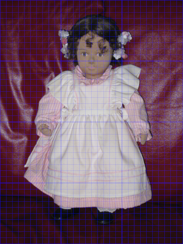 Grid on a doll