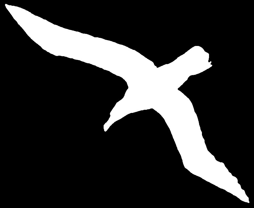 albatros - L'Albatros Albatros1