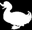 Gabarit canard N° 4
