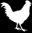 coq